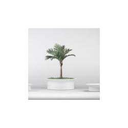 Jardinière Hat en béton cylindrique avec capacités différentes - Blanc/Gris - Marbre/Carrière concassée