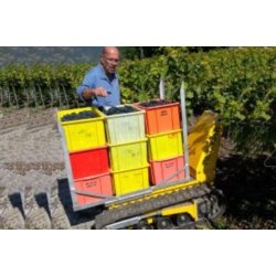DCT-300P mini-dumper - Alitrak - 600 kg - tout-terrain, compact et électrique