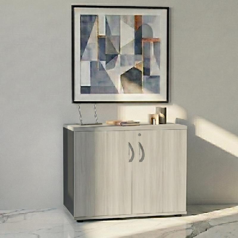 Armoire de bureau avec portes décor bois - MDD - Gris anthracite, Acacia clair_4