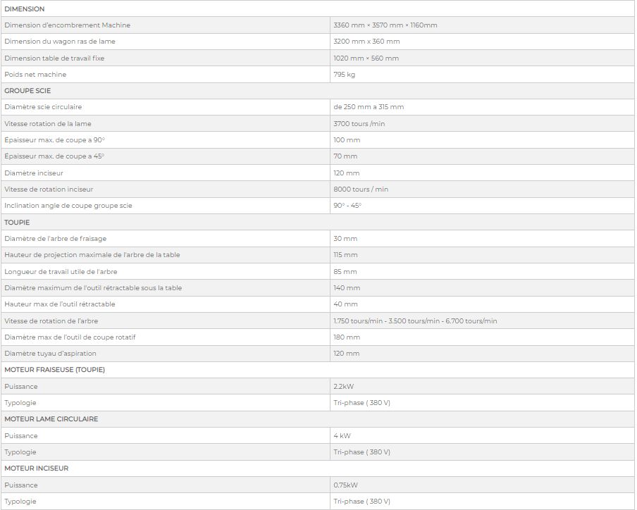 Tsx pro 3200 - scie à format professionnelle DM Italia SRL - 3 moteurs tri-phase - poids net 795 kg - DMTSX32T_4