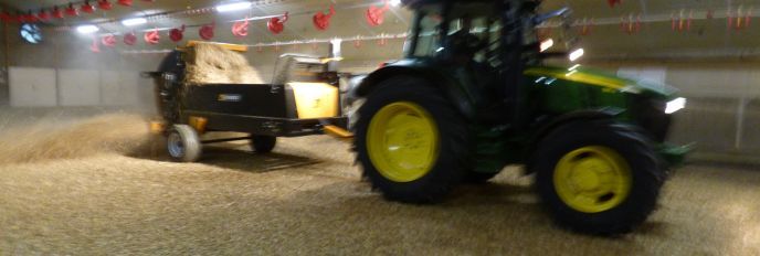 Vulcano pailleuse agricole trainée  - emily - paillage jusqu'à 5 à 12m_4