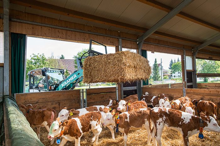 Mini-chargeuse 3,4t - Kramer KL19.5 - compacte, maniable et haute stabilité_4