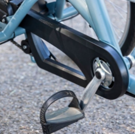 Tricycle Maxi Van Raam - Tricycle Individuel avec Options Personnalisables_4