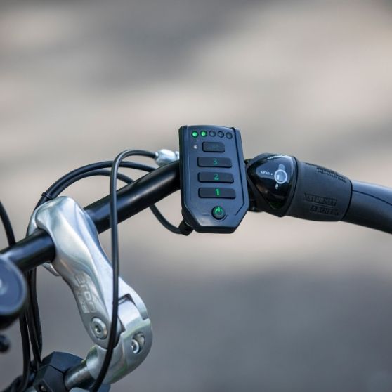 Tricycle pour enfant et adulte de petite taille - Easy Rider Small - avec différentiel, siège confortable et suspension intégrée_4