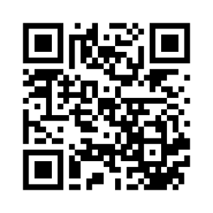 Décolleuses autotractées Romus - Pour dalles thermoplastiques, moquettes, PVC et plus_4
