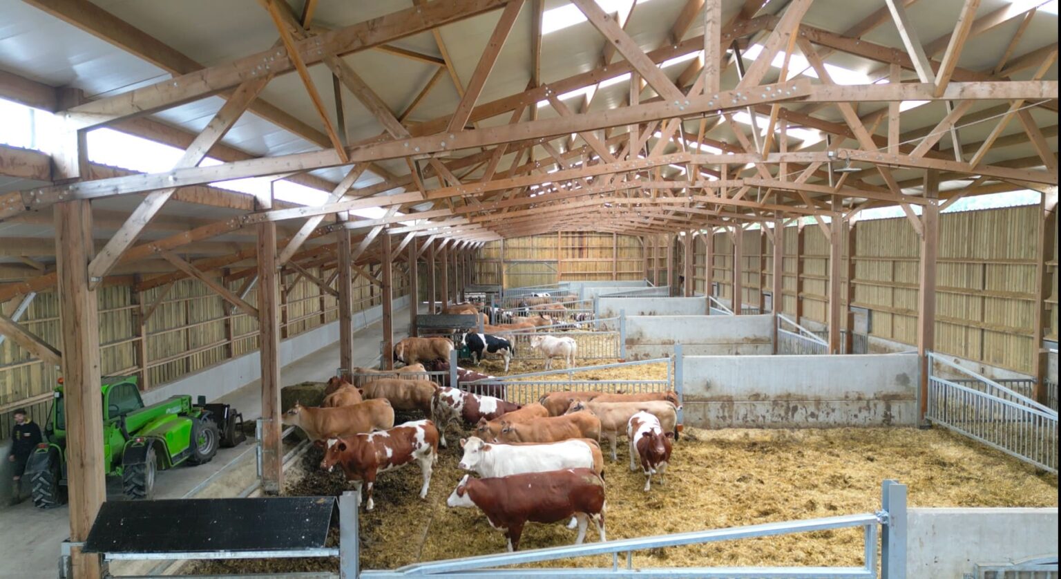 Bâtiment pour vaches allaitantes, sur mesure en bois - Stabulation libre, en aire paillée, en caillebotis, ou mixte_4