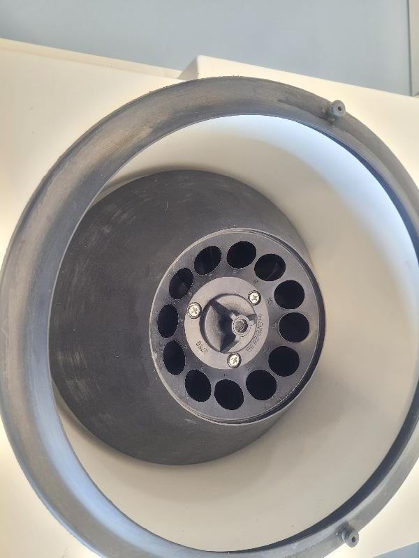Centrifugeuse HERAEUS Kendro Labofuge 200 avec rotor fixe 3760_4