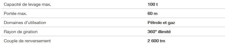 MTC 2600 - Grue portuaire offshore Liebherr - Capacité de levage 100t - Portée 60m_4