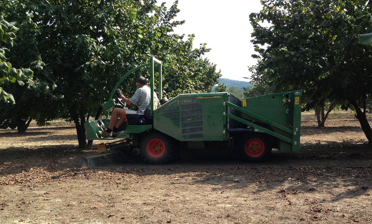 2050 récolteuse de fruits avec châssis monobloc en acier