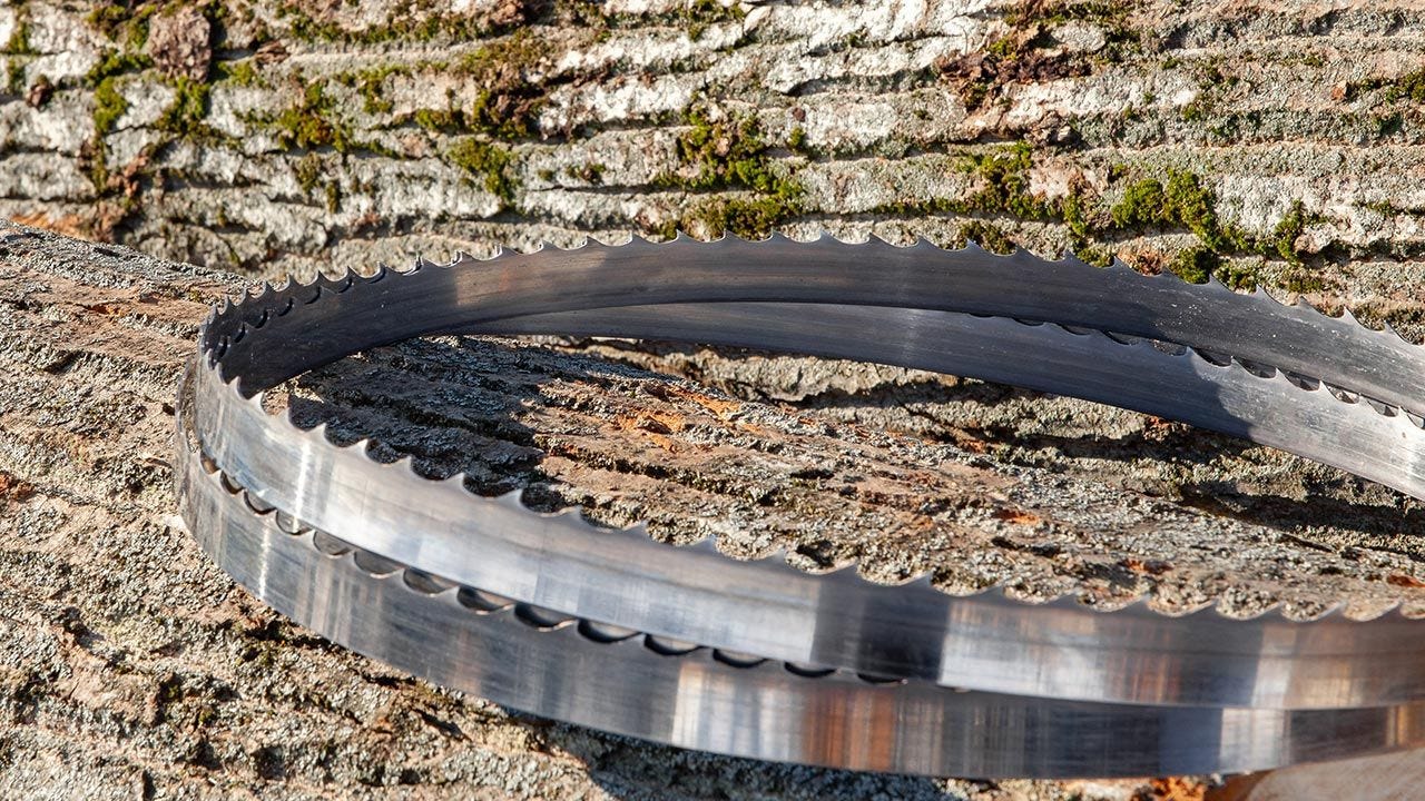 Lame de scie Wood-Mizer pour conditions de sciage générales