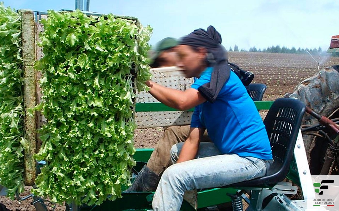 Max - Planteuse Fedelemario - Distance inter-plants 15 à 162 cm - Repique sur sol paillé ou nu_4