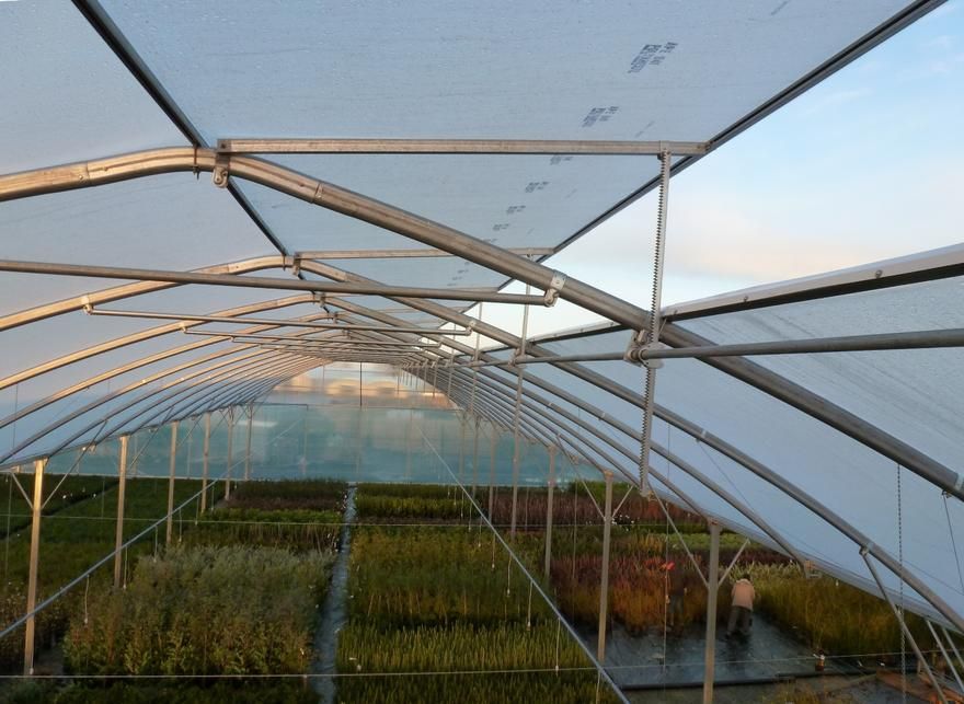 Serre avec options d’aération pour une ambiance saine