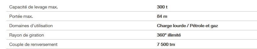 BOS 7500 - Grue portuaire offshore Liebherr - Capacité de levage max 300t - Portée max 84m_4