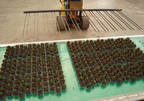 Buffer Javo - Convoyeur de tri pour pots et plateaux avec tapis haut de gamme et robots intégrés_4