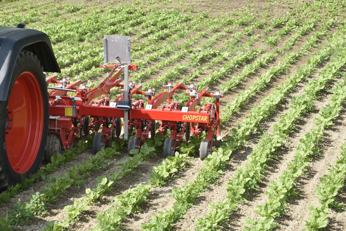 Bineuse mécanique pour interruption de l'effet de capillarité