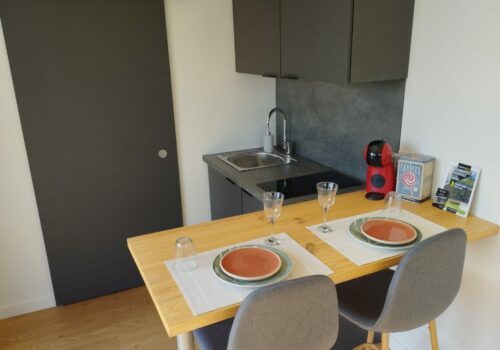 Studio de jardin compact 15m² avec cuisine et salle de bain intégrées