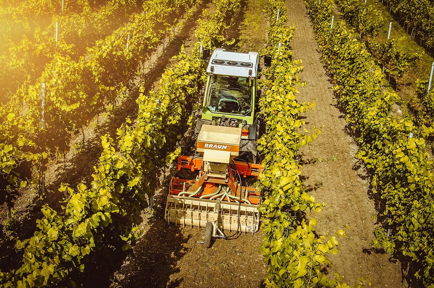 Fraises et herses rotatives - Braun Maschinenbau - préparation de sol fin et ensemencement_4