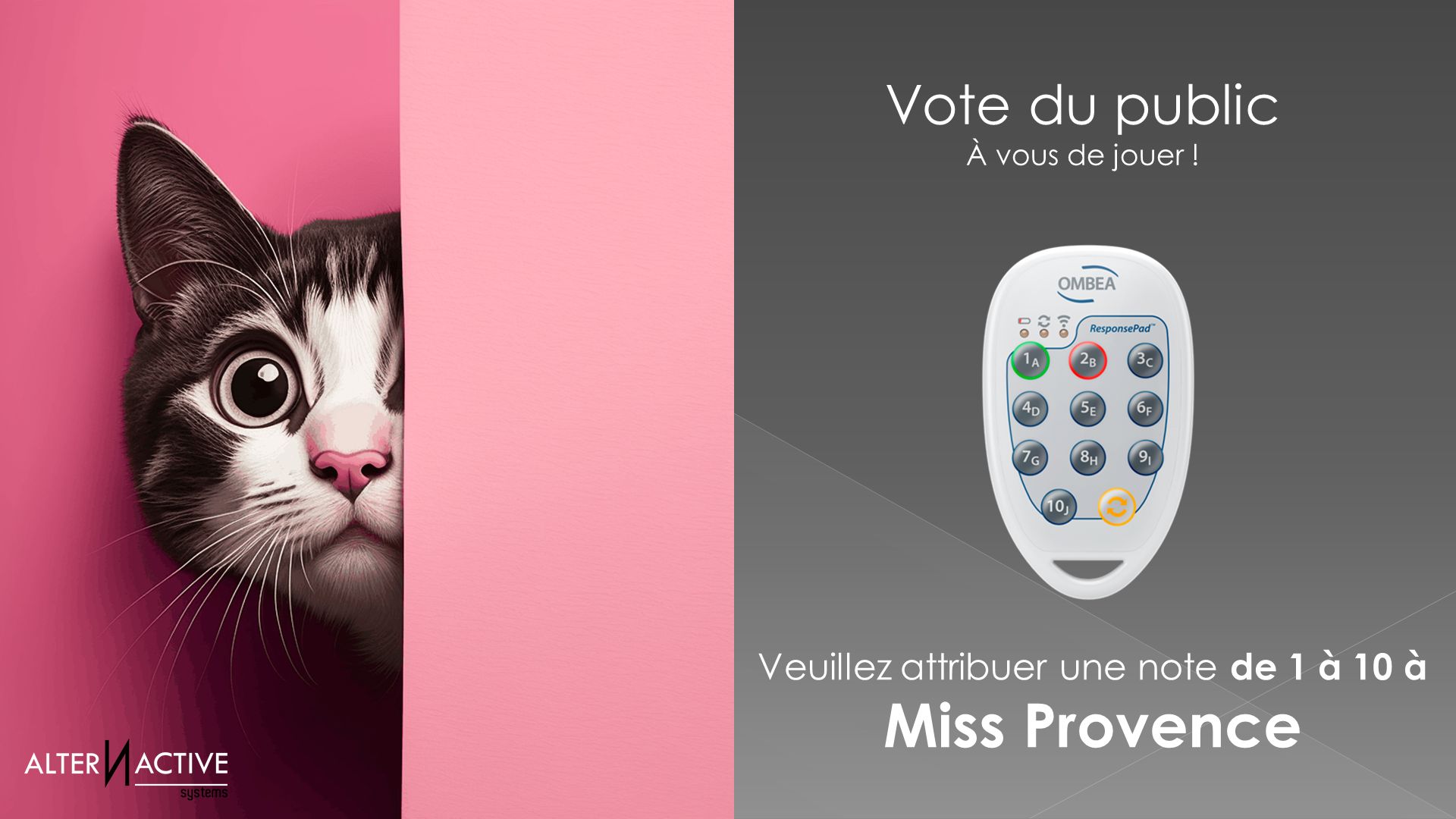 Location de boîtiers de vote interactifs pour événements - Simples d'utilisation et sans connexion Internet_4