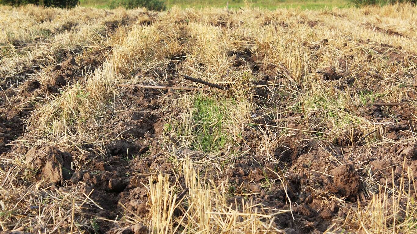 Krtek - cultivateur agricole - Farmet a.S - largeur de travail 2200 à 4400 mm - profondeur de travail 40 à 60 cm_4