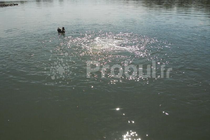 Système d'aération sans équipement flottant pour préserver l'aspect naturel du lac