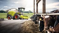 Jaguar 870-840 - ensileuse automotrice - claas - puissance de 300 à 430 ch_4