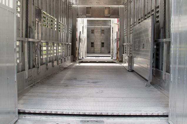 Rba32 - remorque bétaillère - carrozzeria pezzaioli - essieux jumelés simples fixes de 10000 kg_4