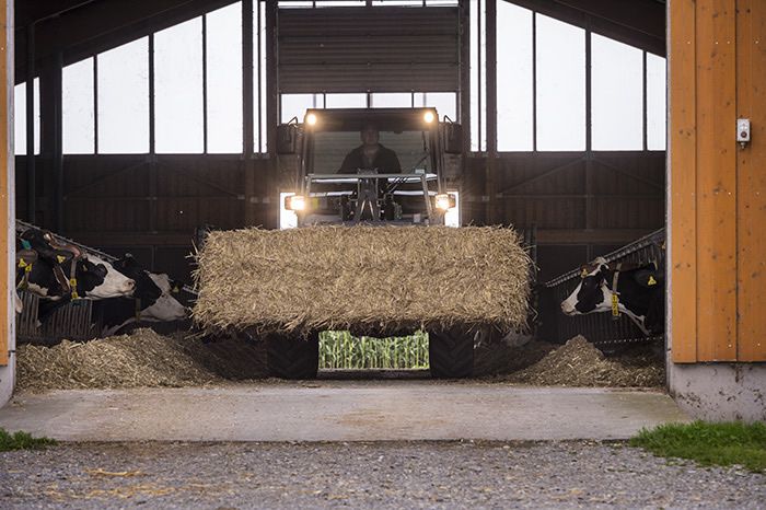 Mini chargeuse sur pneus Kramer KL43.8 - 6,05t - 100 CV - cabine panoramique spacieuse_4