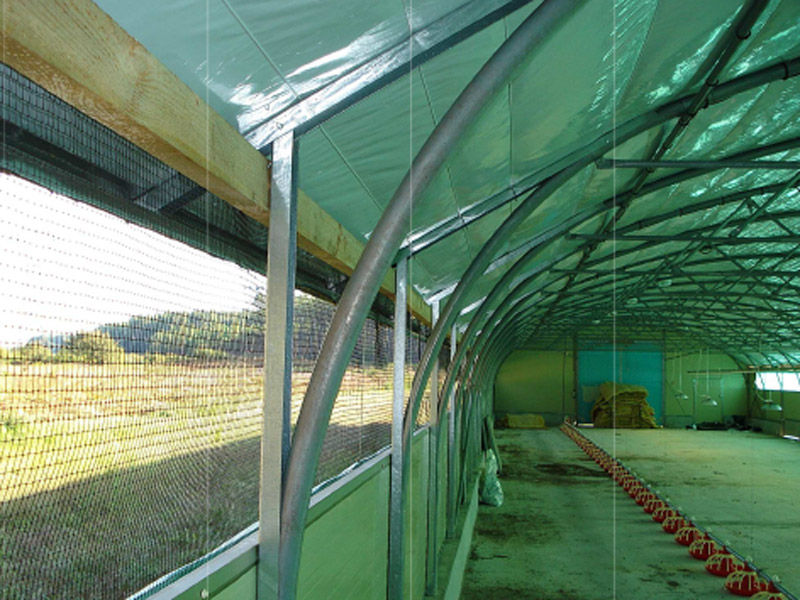 Tunnel pour élevage équipé de haubans de renfort
