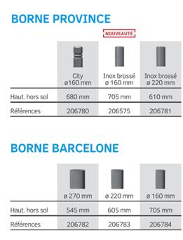 Borne rétractable en acier peint sur zinc avec système de guidage renforcé - Province / Barcelone - serrure clé triangle de 11_4