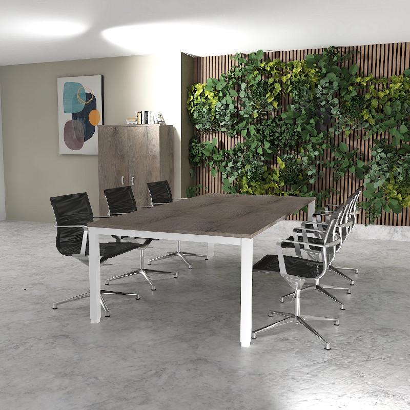 Table de réunion 6-8 personnes Tempo - Mobel Linea - Blanc 9010, 250, Chêne grisé_0