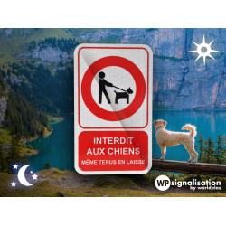 Panneaux Personnalisés Interdit aux Chiens - Signalisation de Sécurité - WP Signalisation_4