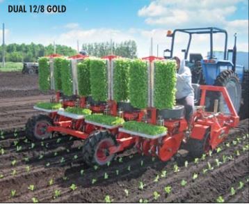 Dual 12 Gold - planteuse Checchi & Magli - distance entre rangs 35-50 cm - rendement 6000 plants/heure_4