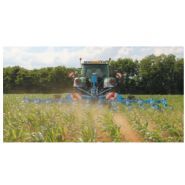 Multicrop bineuses agricoles - monosem - inter-rang 45 à 80 cm / robustes et polyvalentes_4