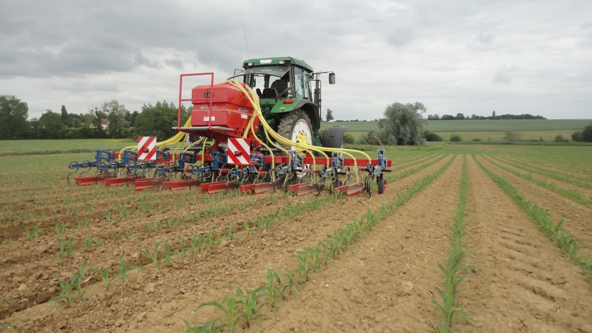 Outil agricole pour désherbage mécanique entre rangs de maïs