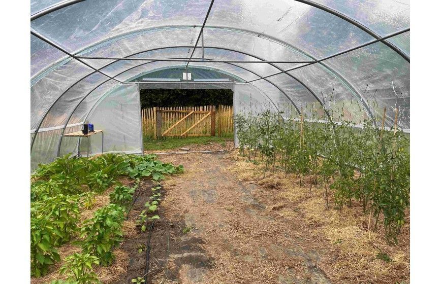 Serre tunnel professionnelle pour tous les budgets espaces verts ayant de surface de 58,50 m2 et jusqu'à 250 m2 - NORMANDIE_5