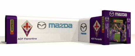 Hangars fixes et rétractables_5