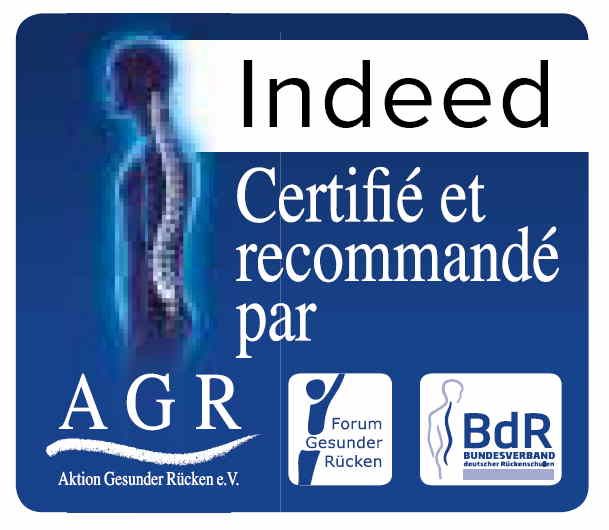 Fauteuil ergonomique de bureau design - écologique et durable - assise rembourrée confortable - INDEED_4