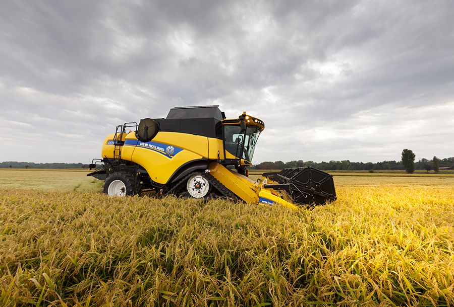 Moissonneuse batteuse CX8.80 Tier 4B - New Holland - trémie 11 500 L - largeur de coupe 6,10 à 12,50 m_4