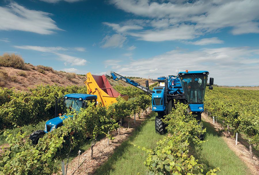 9090x-dual new holland vigne-convoyeur latéral machine à vendanger - new holland - bennes en acier inoxydable (litres)	1600 + convoyeur latéral_4