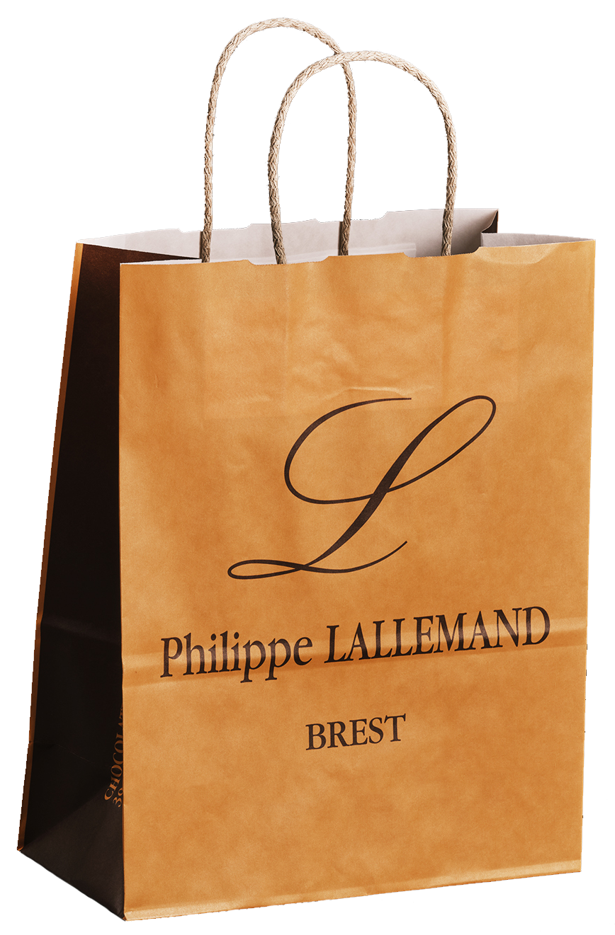 Sac poignée papier torsadé - 100% recyclable - 90 à 110 gr - parfait pour bijouteries, pâtisseries, caves, brasseries, selleries, magasins de prêt-à-porter et cosmétiques_4