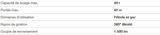 RL 1500 - Grue portuaire offshore Liebherr - Capacité de levage 40t - Portée 42m_4