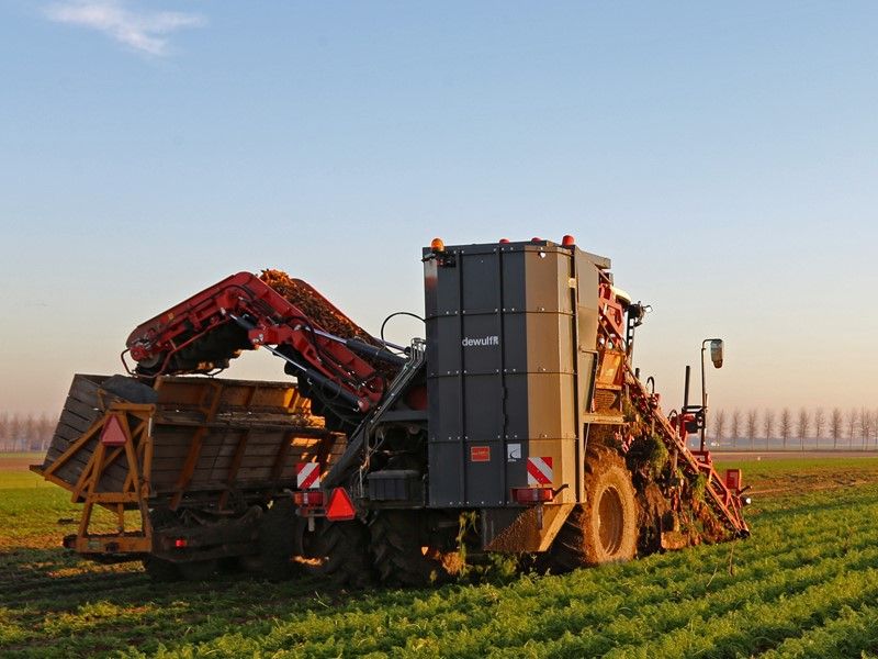 Arracheuse par préhension ZKIIS - Dewulf BV - productivité 3 à 4 ha/j - largeur totale 3290 mm - automotrice à 2 rangs avec élévateur de décharge_4
