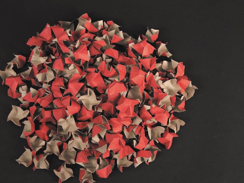 Particulaire Papercot - 430017 – Coloris : Orange_4