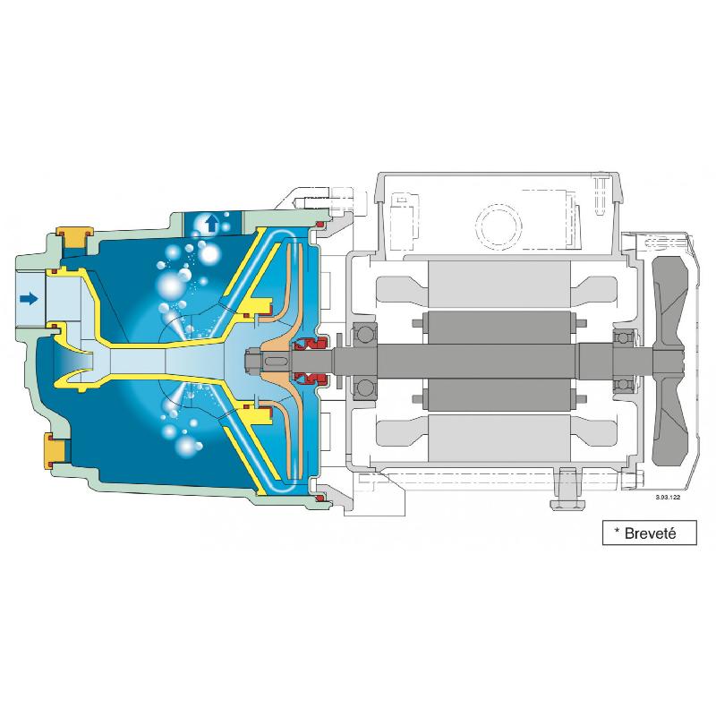 Pompe de surface auto-amorçante Calpeda NGLM 280 - Fonte - 4,8 m3/h - 220V - Pompe pour jardin et maison_4
