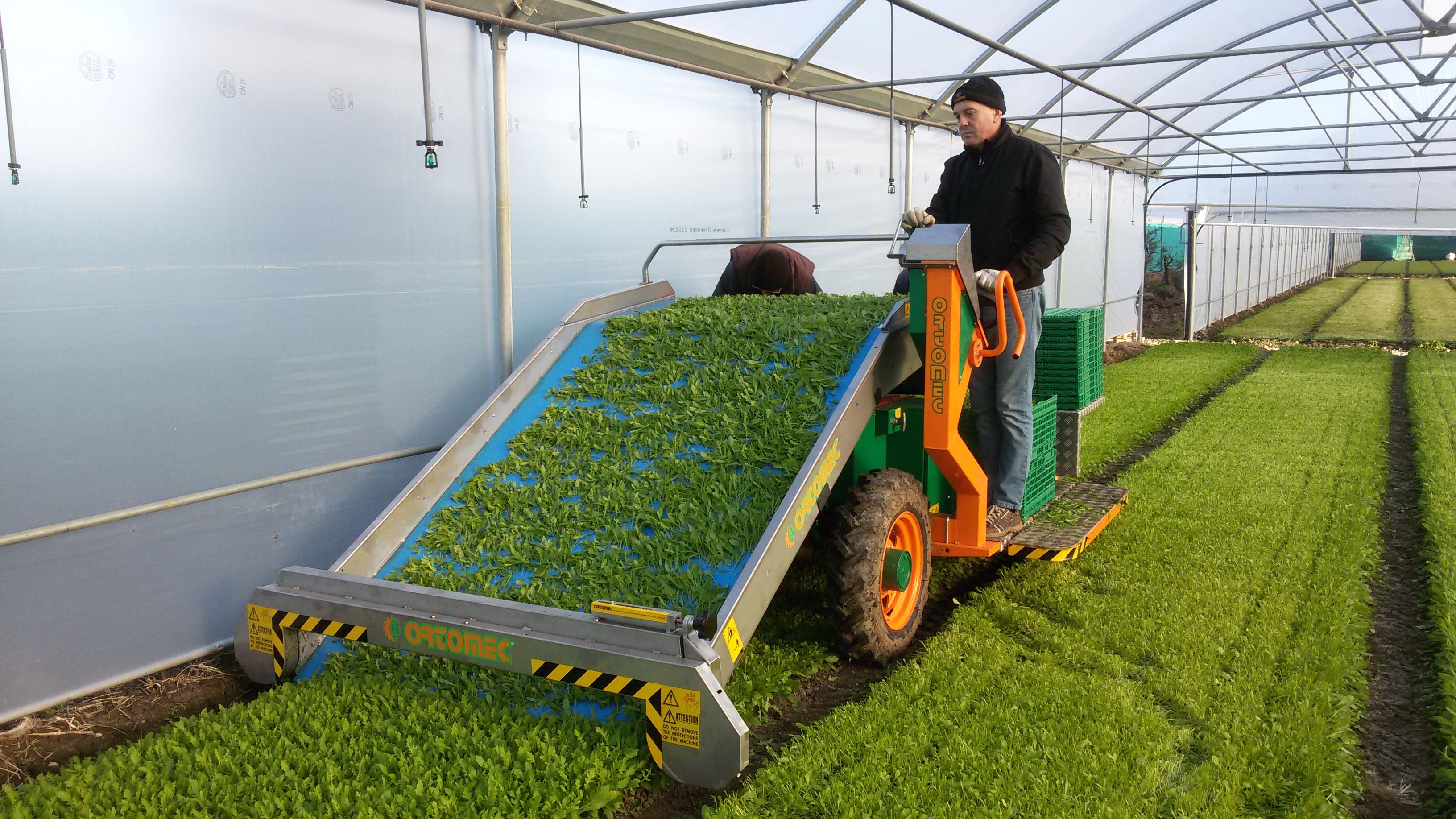 Récolteuse de légumes 8400 electro foglia - ortomec srl - largeur de la tête de récolte 130 à 180 cm_4