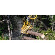 Tête d'abattage-ébranchage 570 - Tigercat - Largeur maximum 1 930 mm, bras à trois couteaux et deux rouleaux d'entraînement_4