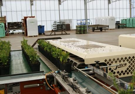 Convoyeur de tri Javo JOR - rapide et efficace pour pots et plateaux - capacité jusqu'à 3000 pots/heure_4