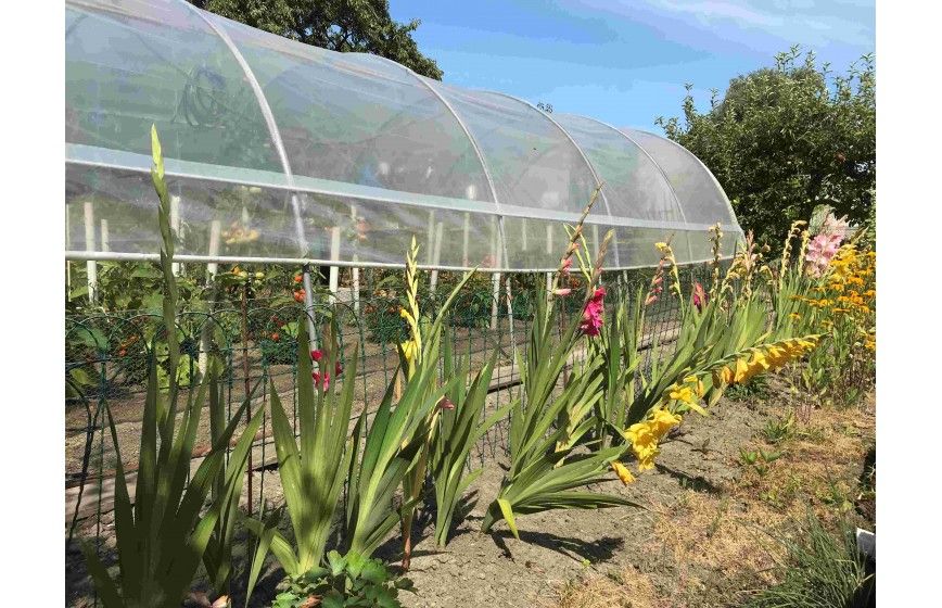 Serre tunnel pour les maraîchers et horticulteurs à installer - tous types de sols - MINI_4