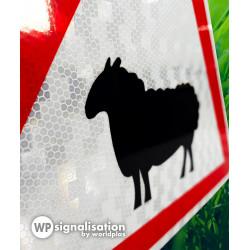 Panneau de danger A15A2 - Passage d'animaux domestiques (mouton) - Signalisation routière_4