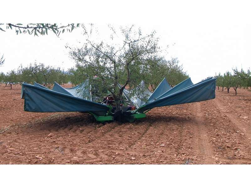 Équipement agricole pour déchargement des amandes via vis sans-fin